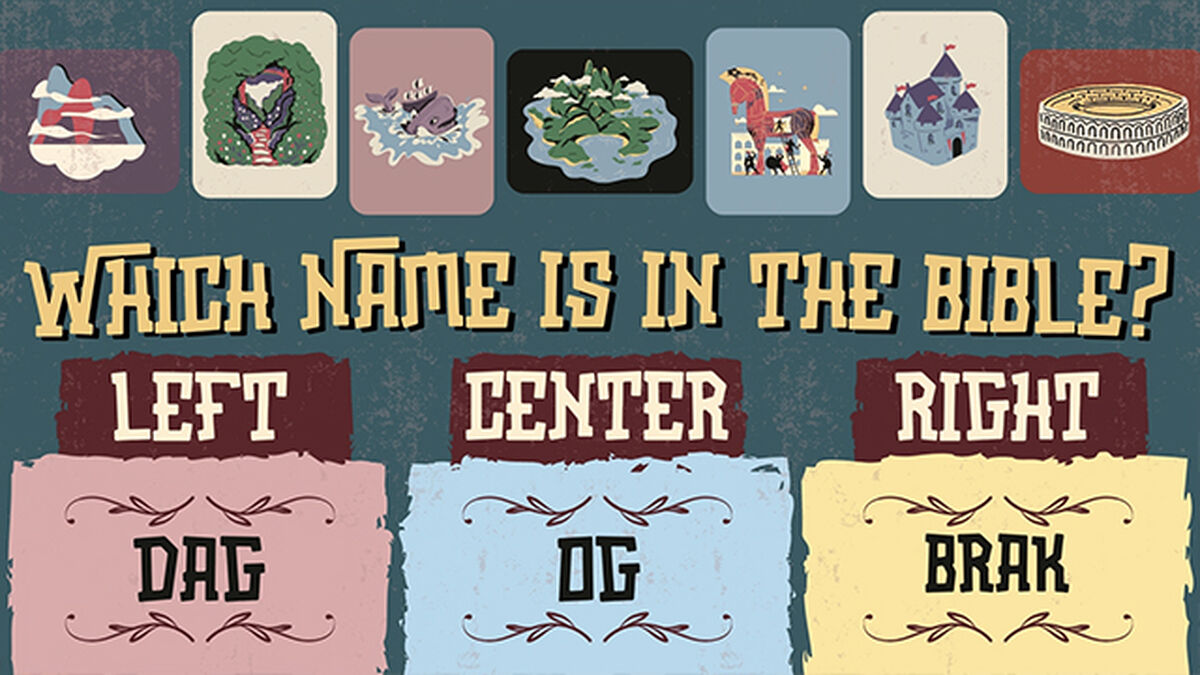 The Name Game: Volume 2 image number null